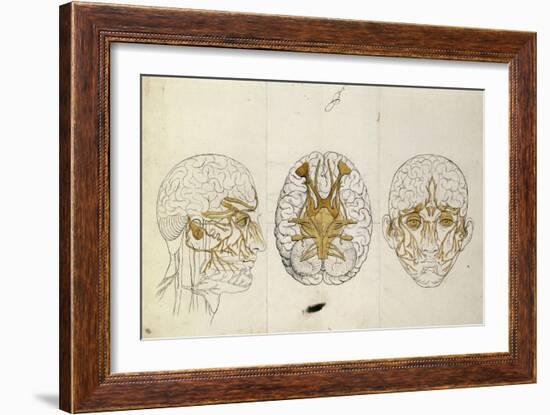 Etudes du système nerveux de la tête de l'homme-Charles Le Brun-Framed Giclee Print