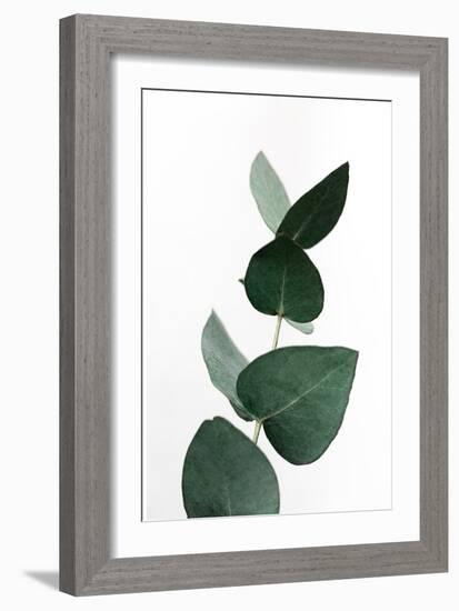 Eucalyptus 4 A1-Mareike Böhmer-Framed Giclee Print