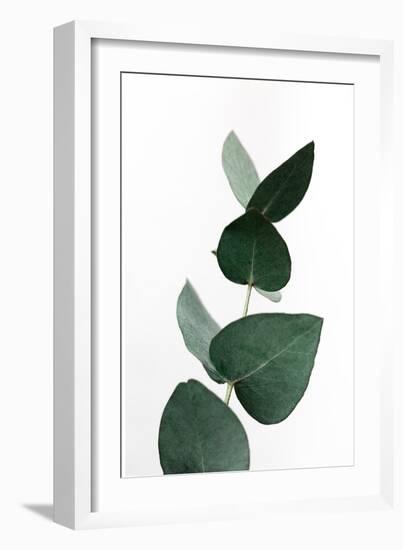 Eucalyptus 4 A1-Mareike Böhmer-Framed Giclee Print