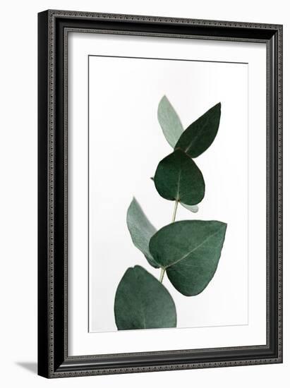 Eucalyptus 4 A1-Mareike Böhmer-Framed Giclee Print