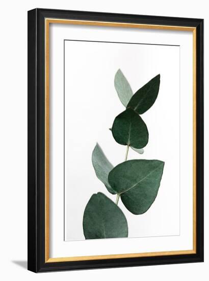 Eucalyptus 4 A1-Mareike Böhmer-Framed Giclee Print