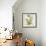 Eucalyptus Aged stone-Albert Koetsier-Framed Art Print displayed on a wall