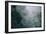 Eucalyptus and Fog Design-null-Framed Photographic Print