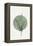 Eucalyptus and Green Moon-THE MIUUS STUDIO-Framed Premier Image Canvas