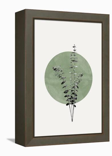 Eucalyptus and Green Moon-THE MIUUS STUDIO-Framed Premier Image Canvas