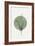 Eucalyptus and Green Moon-THE MIUUS STUDIO-Framed Giclee Print