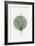 Eucalyptus and Green Moon-THE MIUUS STUDIO-Framed Giclee Print