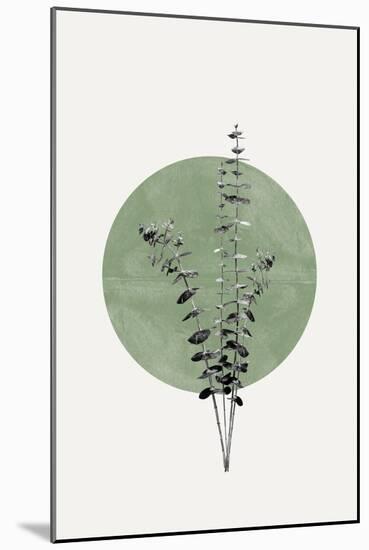 Eucalyptus and Green Moon-THE MIUUS STUDIO-Mounted Giclee Print