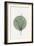 Eucalyptus and Green Moon-THE MIUUS STUDIO-Framed Giclee Print