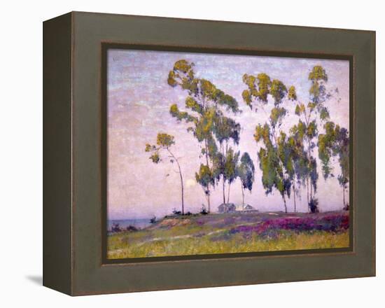 Eucalyptus and Moonrise-Maurice Braun-Framed Stretched Canvas