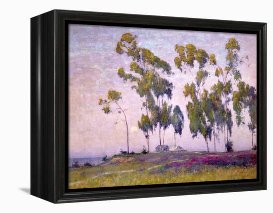 Eucalyptus and Moonrise-Maurice Braun-Framed Stretched Canvas