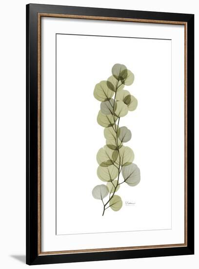 Eucalyptus Arm-Albert Koetsier-Framed Art Print