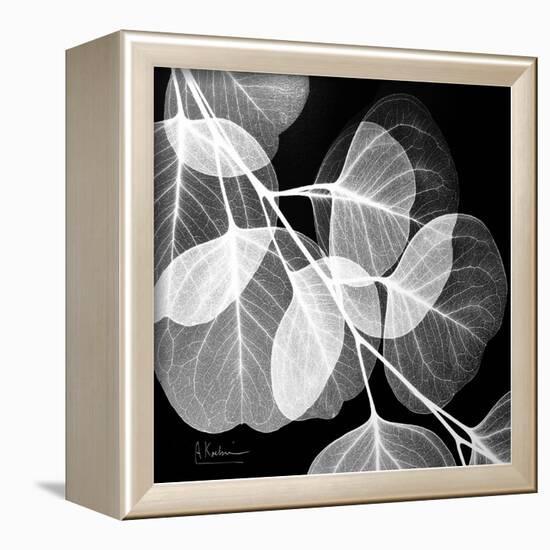 Eucalyptus Black and White-Albert Koetsier-Framed Art Print