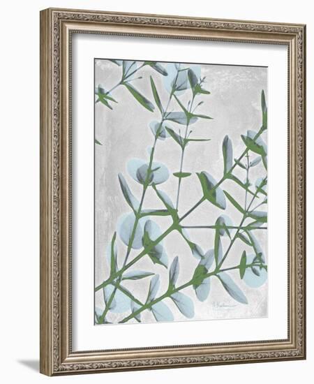 Eucalyptus Blues-Albert Koetsier-Framed Art Print