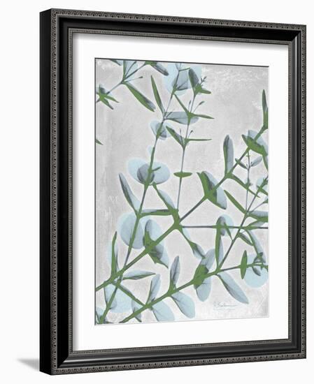 Eucalyptus Blues-Albert Koetsier-Framed Art Print