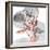 Eucalyptus Blush 1-Albert Koetsier-Framed Photo