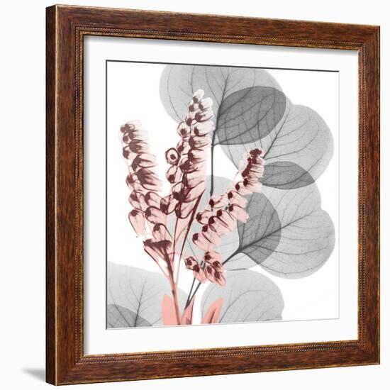 Eucalyptus Blush 2-Albert Koetsier-Framed Photo