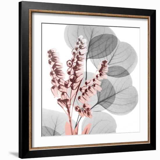 Eucalyptus Blush 2-Albert Koetsier-Framed Photo