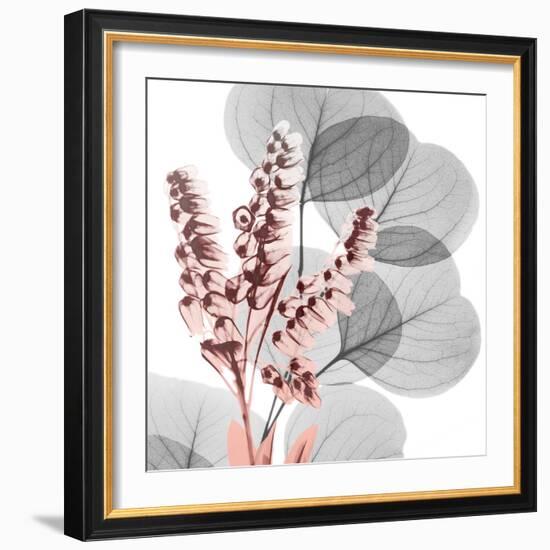 Eucalyptus Blush 2-Albert Koetsier-Framed Photographic Print