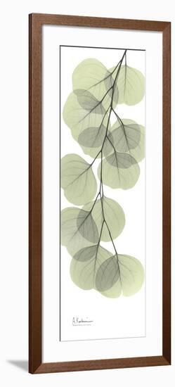 Eucalyptus Branch Down-Albert Koetsier-Framed Premium Giclee Print