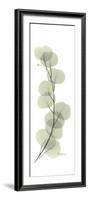 Eucalyptus Branch Up-Albert Koetsier-Framed Premium Giclee Print