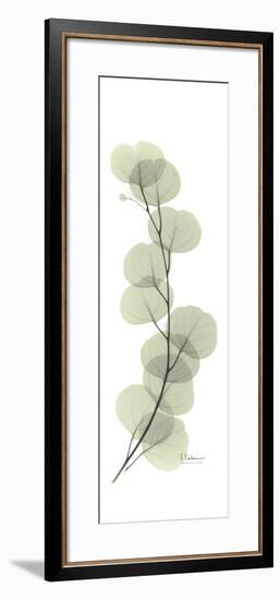 Eucalyptus Branch Up-Albert Koetsier-Framed Premium Giclee Print