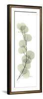 Eucalyptus Branch Up-Albert Koetsier-Framed Premium Giclee Print