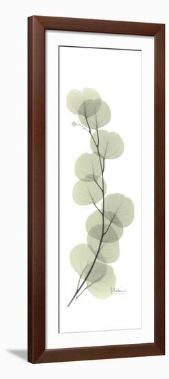 Eucalyptus Branch Up-Albert Koetsier-Framed Premium Giclee Print