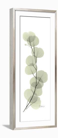 Eucalyptus Branch Up-Albert Koetsier-Framed Premium Giclee Print