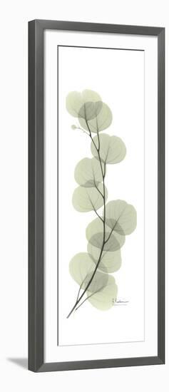 Eucalyptus Branch Up-Albert Koetsier-Framed Premium Giclee Print