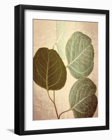 Eucalyptus Color-Debra Van Swearingen-Framed Art Print