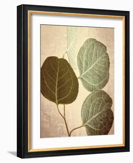 Eucalyptus Color-Debra Van Swearingen-Framed Art Print