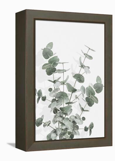 Eucalyptus Creative 16-1x Studio III-Framed Premier Image Canvas