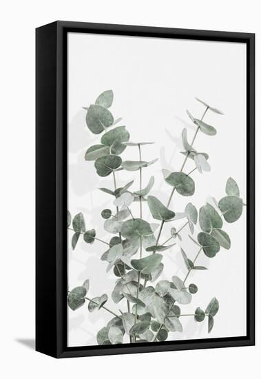 Eucalyptus Creative 16-1x Studio III-Framed Premier Image Canvas