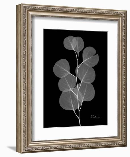 Eucalyptus E196-Albert Koetsier-Framed Art Print