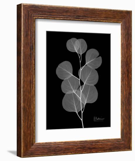 Eucalyptus E196-Albert Koetsier-Framed Art Print