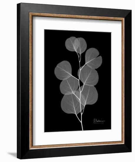 Eucalyptus E196-Albert Koetsier-Framed Art Print