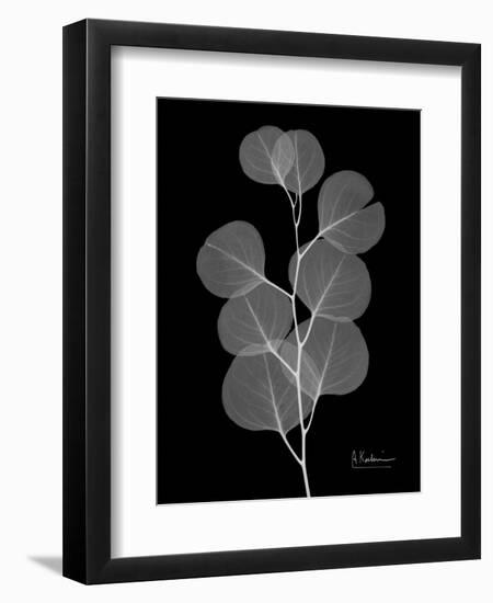 Eucalyptus E196-Albert Koetsier-Framed Art Print