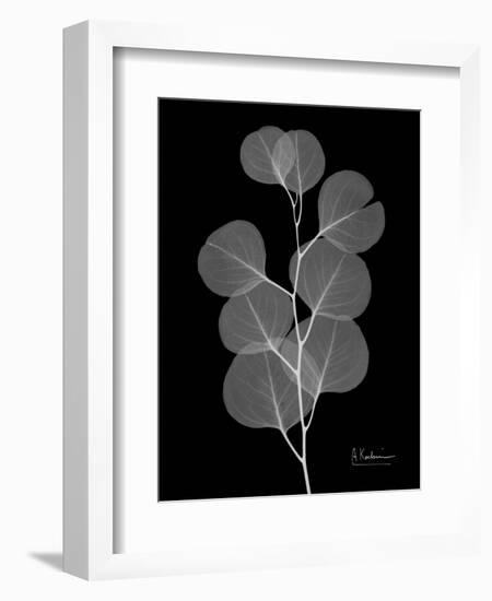 Eucalyptus E196-Albert Koetsier-Framed Art Print