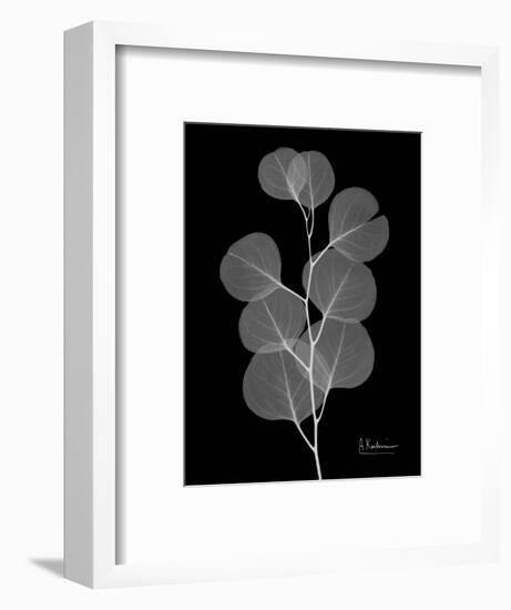 Eucalyptus E196-Albert Koetsier-Framed Premium Giclee Print