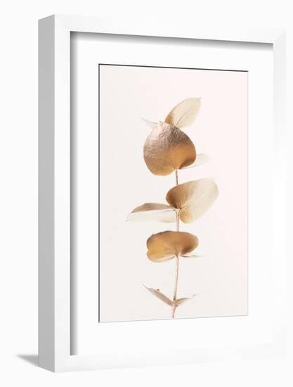 Eucalyptus Gold No 06-1x Studio III-Framed Photographic Print