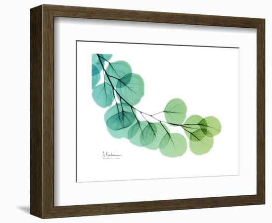 Eucalyptus Green Blue-Albert Koetsier-Framed Premium Giclee Print