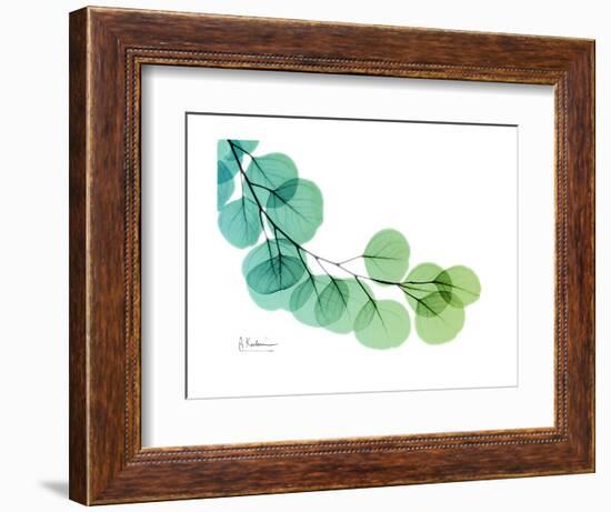 Eucalyptus Green Blue-Albert Koetsier-Framed Premium Giclee Print