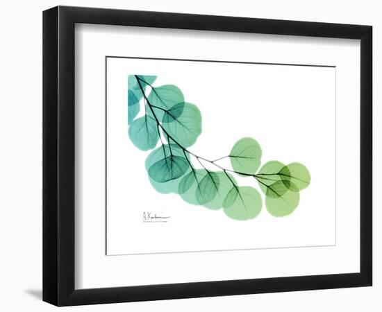 Eucalyptus Green Blue-Albert Koetsier-Framed Premium Giclee Print