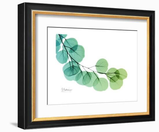 Eucalyptus Green Blue-Albert Koetsier-Framed Premium Giclee Print