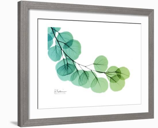 Eucalyptus Green Blue-Albert Koetsier-Framed Premium Giclee Print