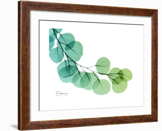 Eucalyptus Green Blue-Albert Koetsier-Framed Premium Giclee Print