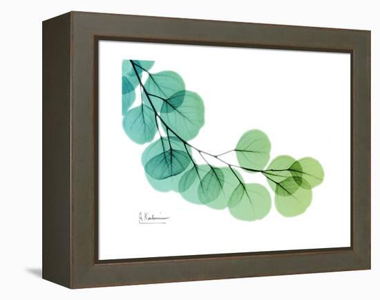 Eucalyptus Green Blue-Albert Koetsier-Framed Stretched Canvas