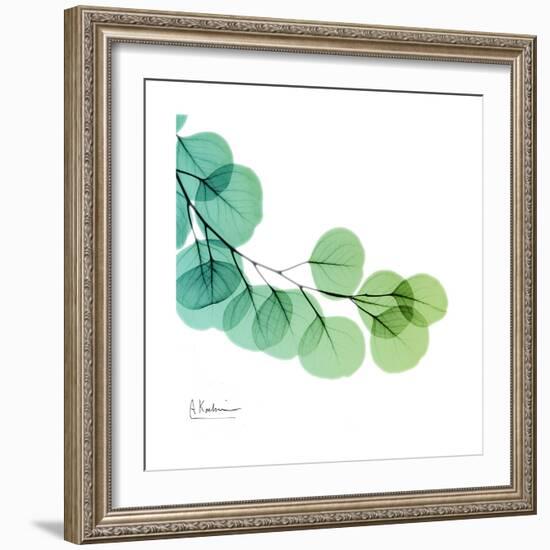 Eucalyptus Green-Albert Koetsier-Framed Art Print