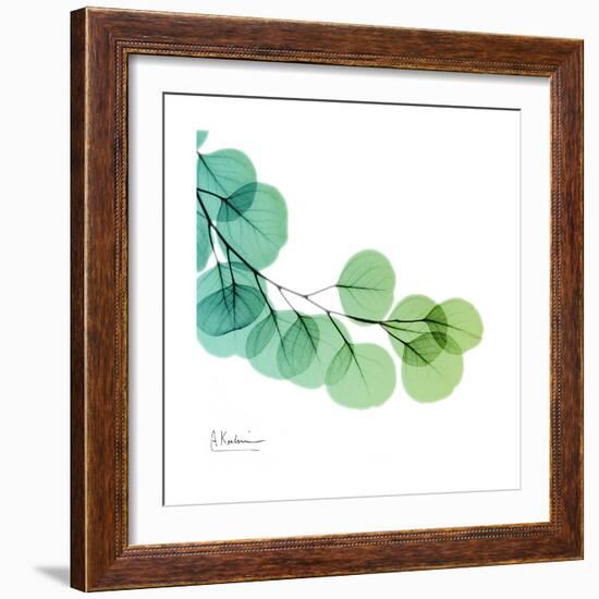 Eucalyptus Green-Albert Koetsier-Framed Art Print